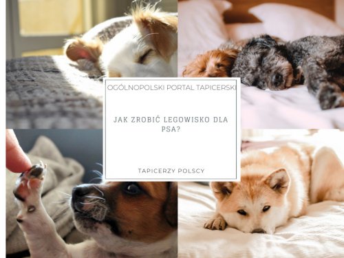 Jak zrobić legowisko dla psa?
