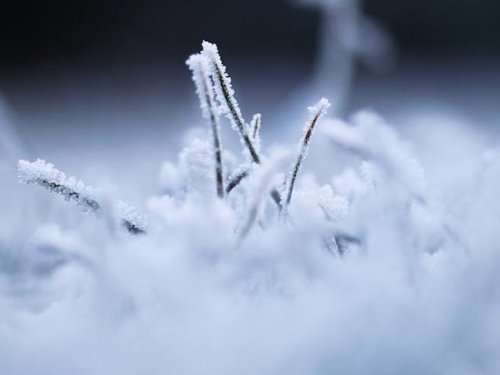 Dywany – propozycje na 2024 rok